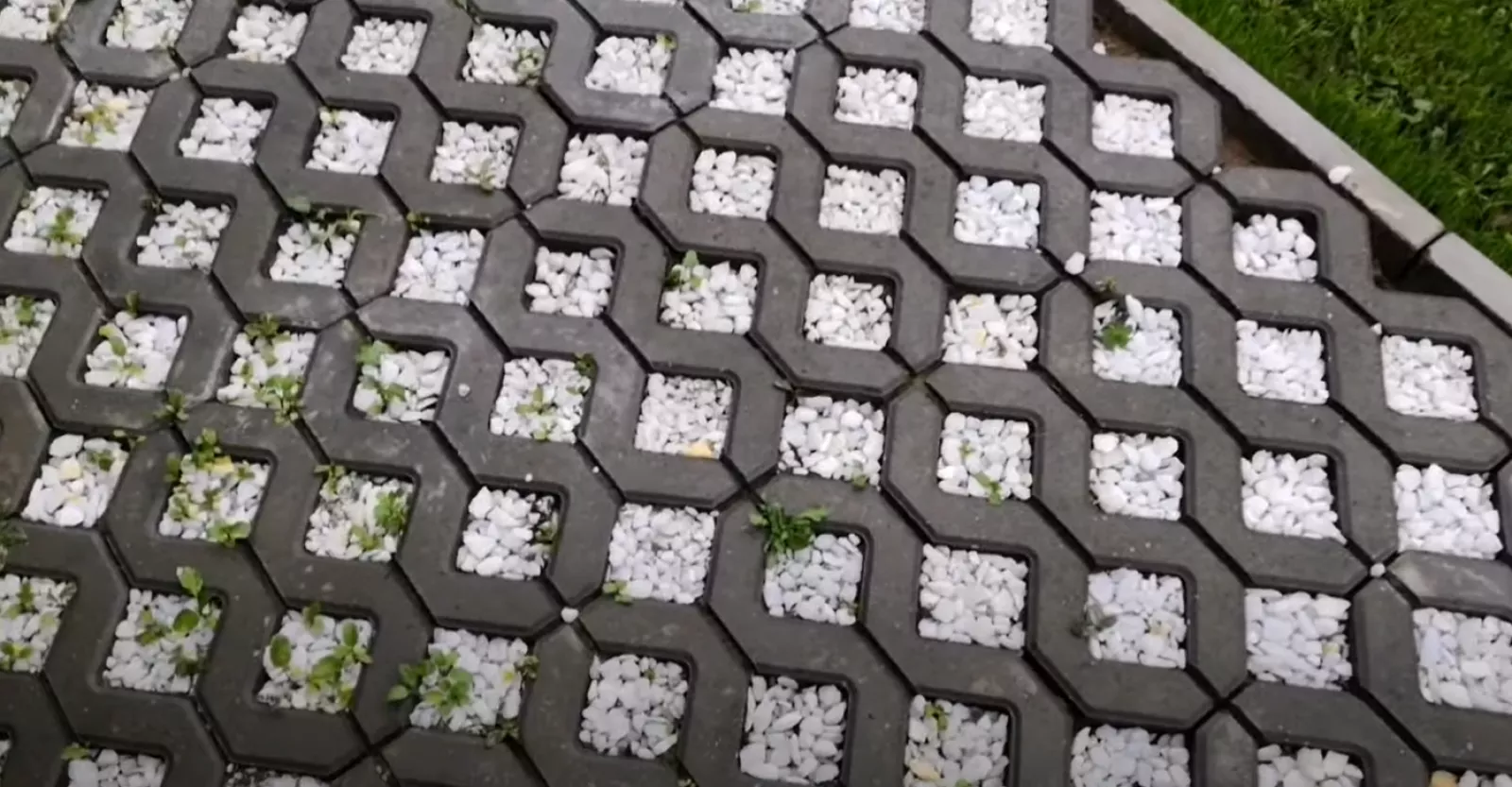 Экопарковка в Ижевске — фото 1
