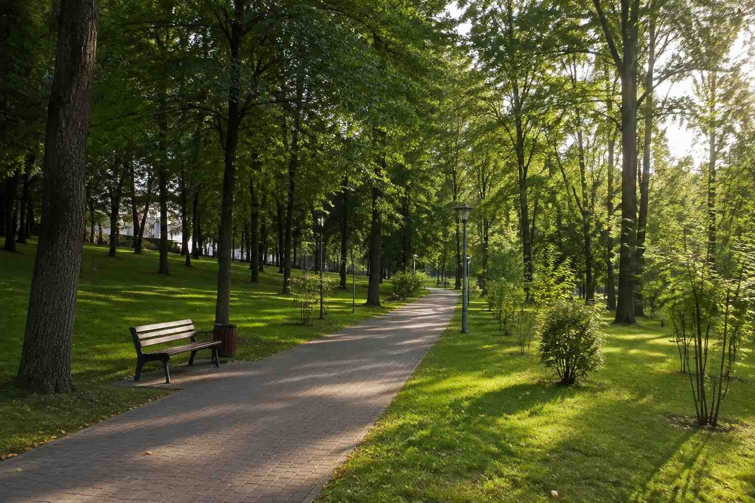 https://izhevsk.blago-s.ru/storage/app/uploads/public/6a7/eef/ed2/6a7eefed2af22038960370.jpg